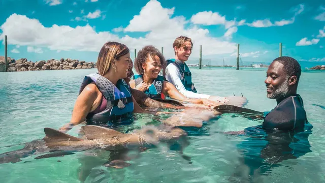 Dolphin Encounter Blue Lagoon Island